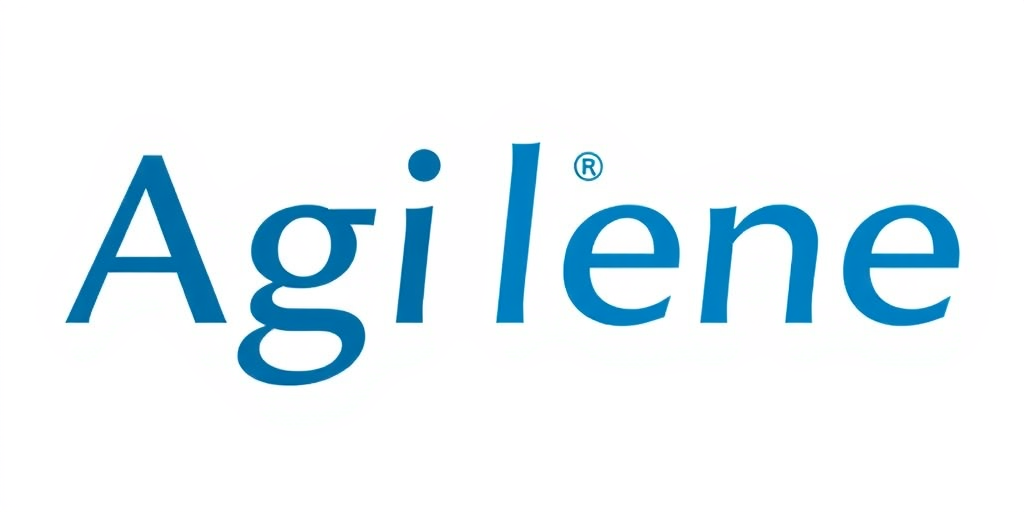 Agile Network